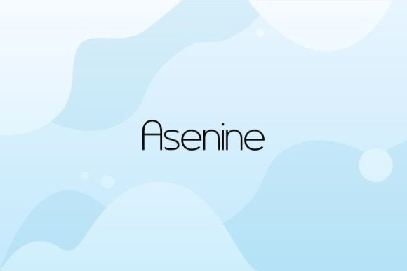 Asenine: A Fresh Typeface for Creative Projects