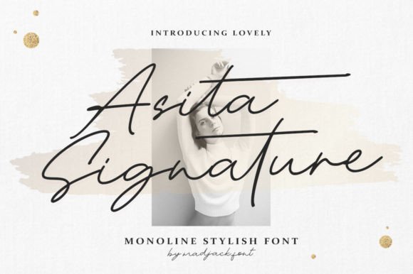 Asita Signature: A Premium Script Font for Modern Web Design