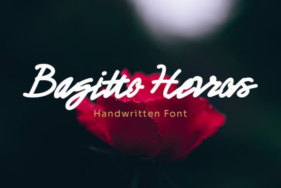 Bagitto Herros: A Script Font That Elevates Web Design