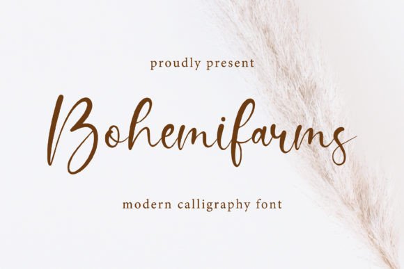 Bohemifarms: A Sensual Typeface for Editorial Design