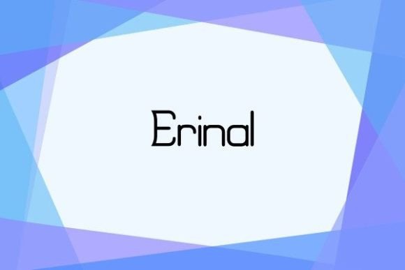 Erinal Typeface: A Polished Choice for Small Business Branding
