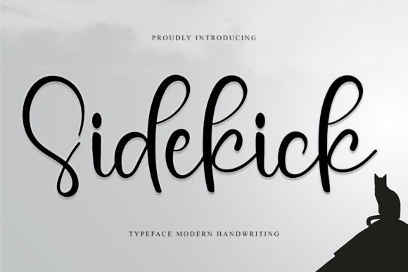 Sidekick Font: A Stylish Typeface for Small Business Branding