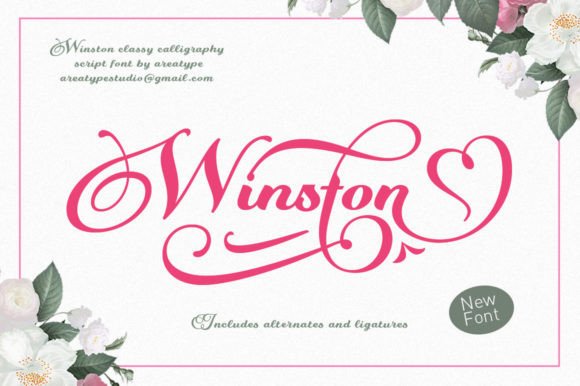 Winston: A Premium Script Font That Elevates Your Campaigns